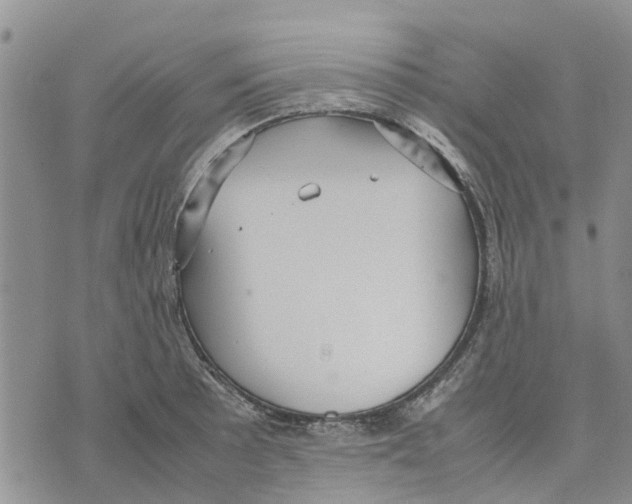 X0000070251089200606301620