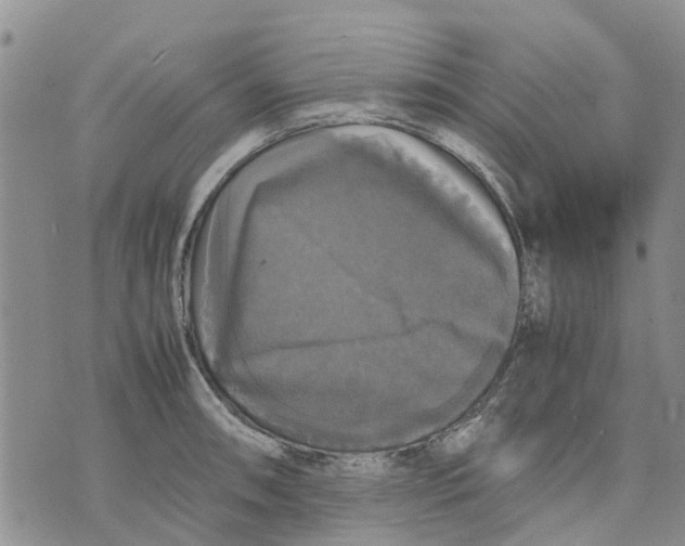 X0000070251090200606301620