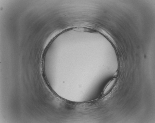 X0000070251093200606301620