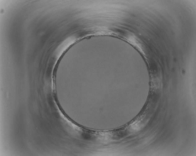 X0000070251095200606301620