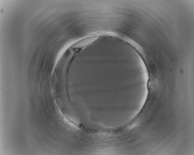 X0000070251102200606301619