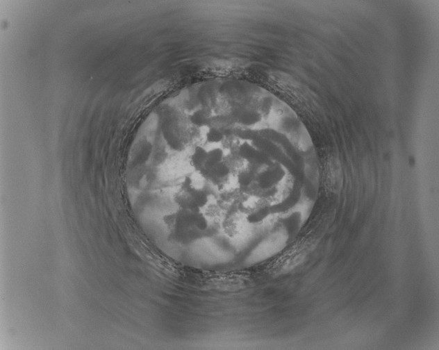 X0000070251105200606301619