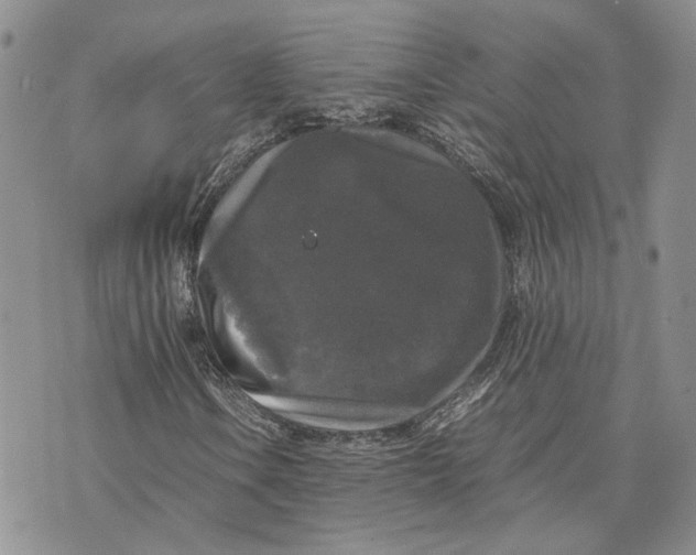 X0000070251106200606301619