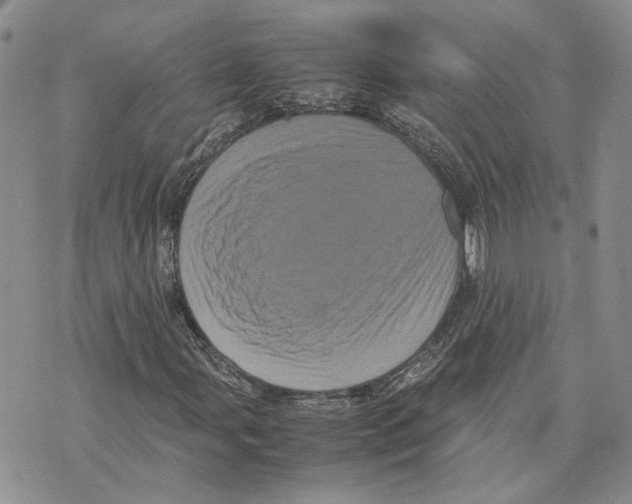 X0000070251107200606301619