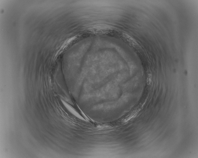 X0000070251108200606301619