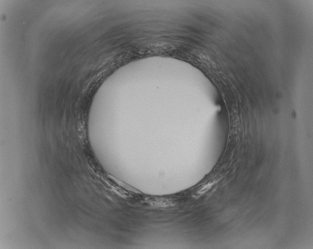 X0000070251109200606301619