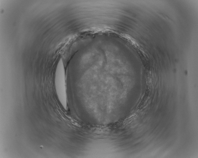 X0000070251110200606301619