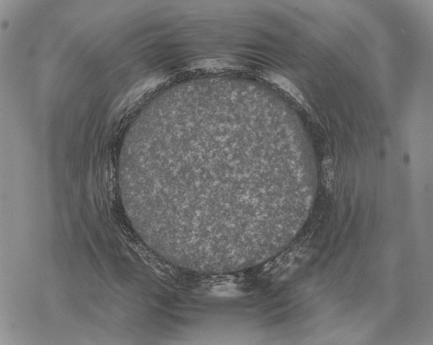 X0000070251111200606301619