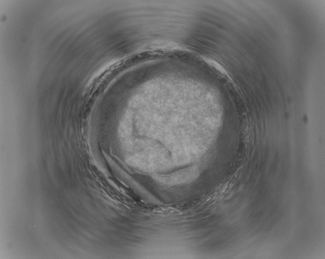 X0000070251112200606301619