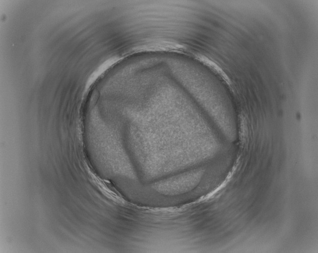 X0000070251114200606301619