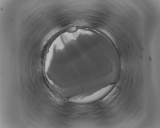 X0000070251115200606301619