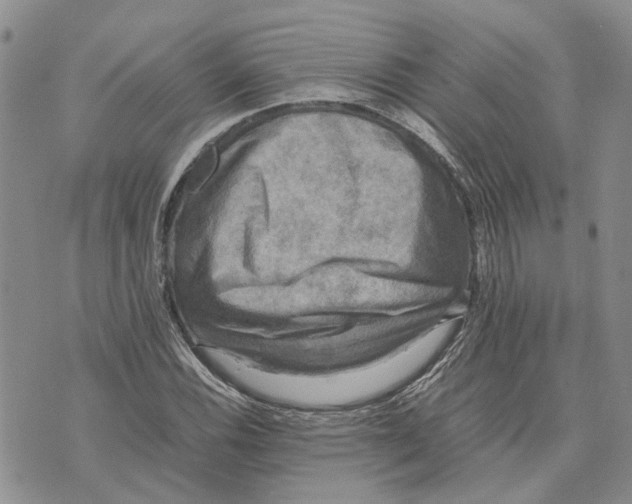 X0000070251116200606301619