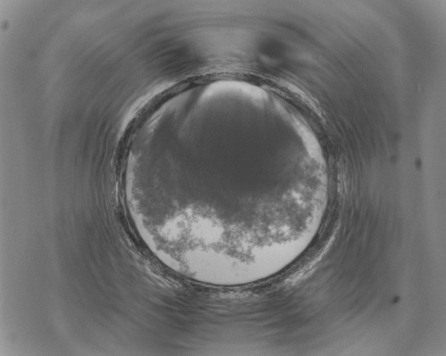 X0000070251117200606301619