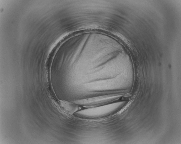 X0000070251118200606301619