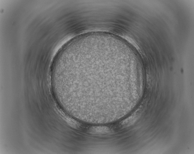 X0000070251119200606301619