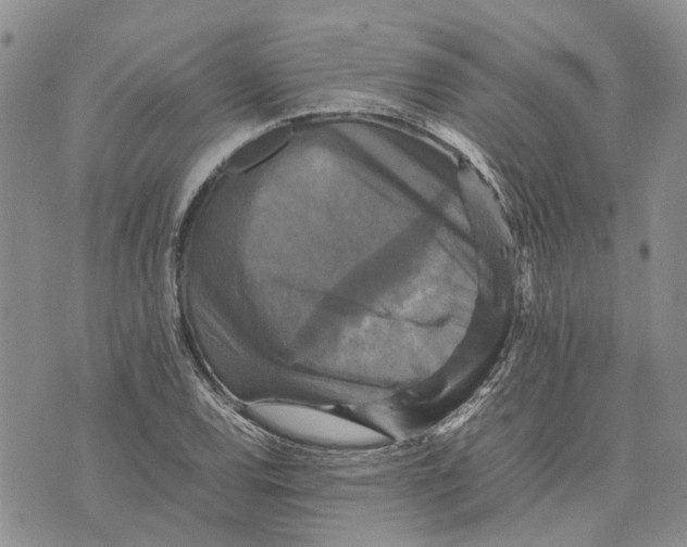 X0000070251120200606301619