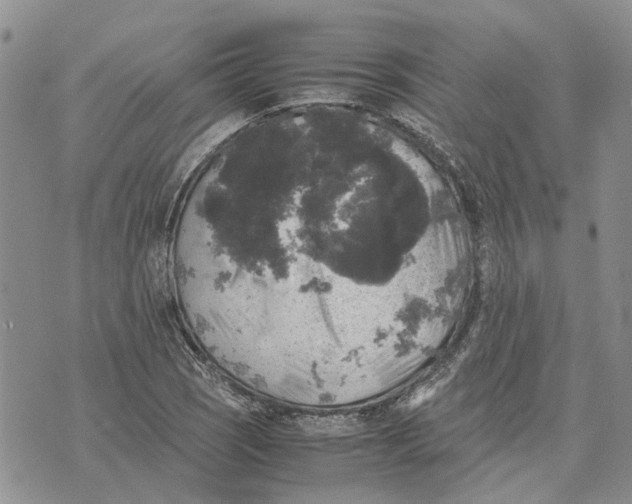 X0000070251121200606301619