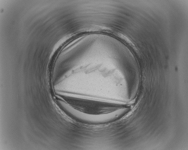 X0000070251122200606301619