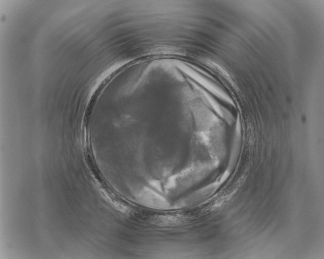 X0000070251125200606301619