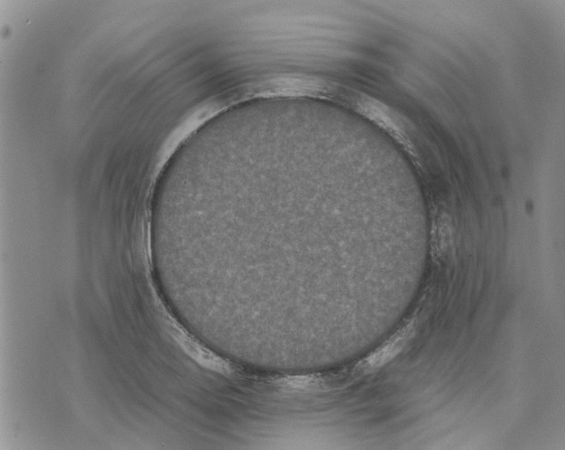 X0000070251130200606301619