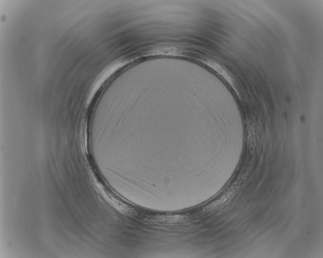 X0000070251131200606301619