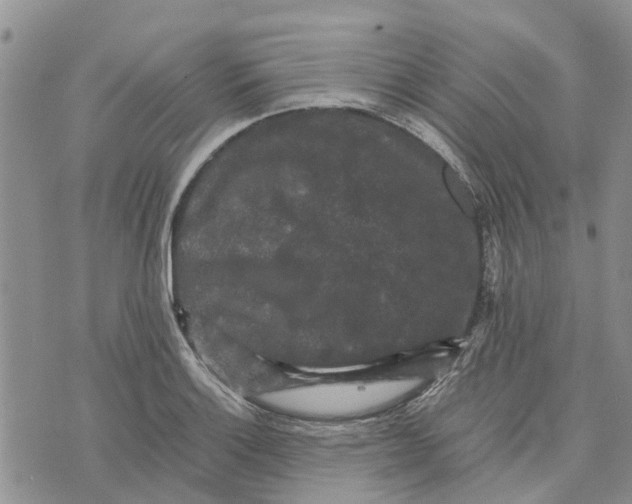 X0000070251132200606301619