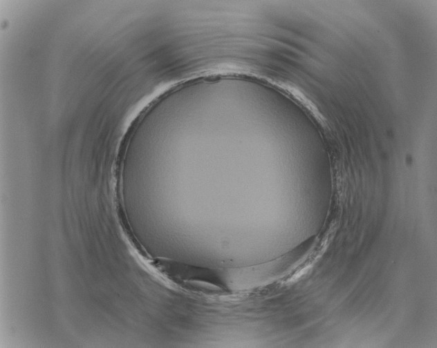 X0000070251134200606301619