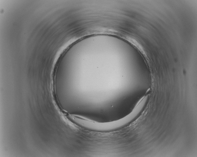 X0000070251136200606301619