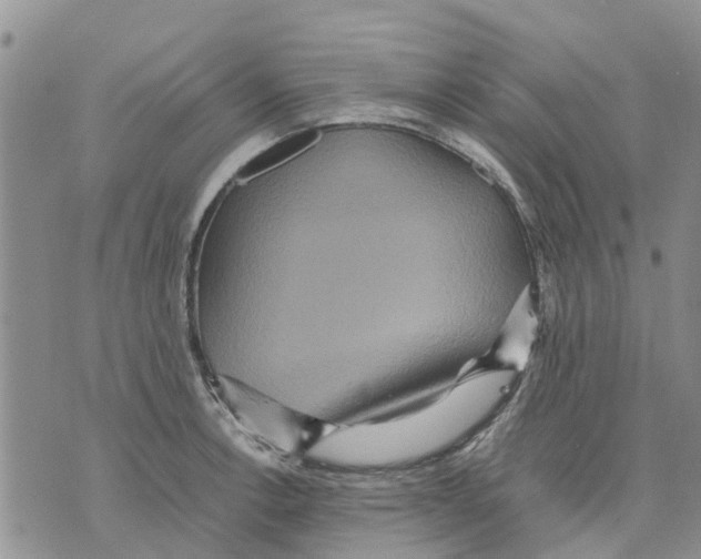 X0000070251138200606301619