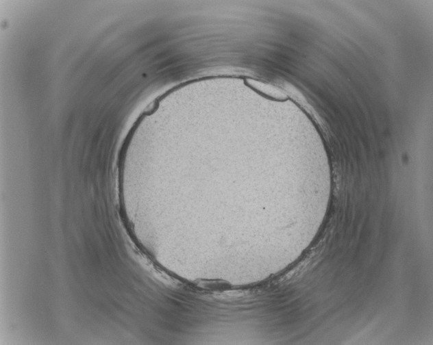 X0000070251140200606301619