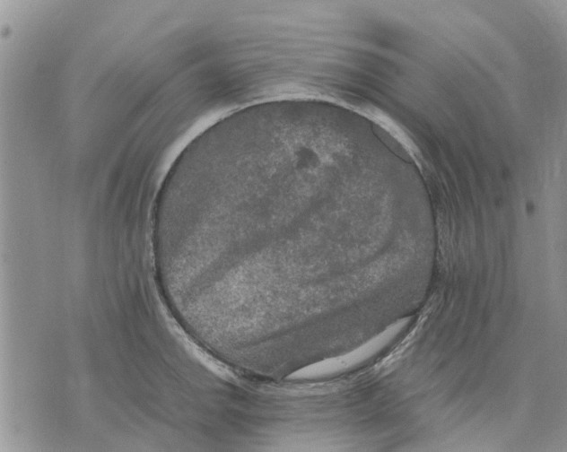 X0000070251142200606301619