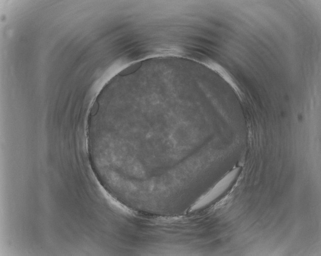 X0000070251143200606301619