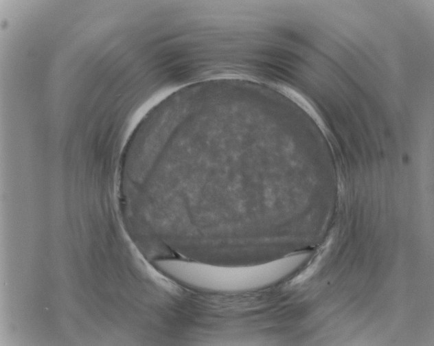 X0000070251149200606301619