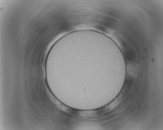 X0000070251150200606301619