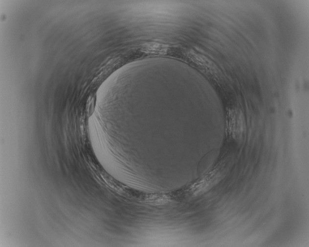 X0000070251154200606301619