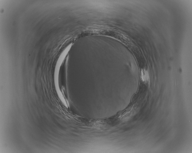 X0000070251155200606301619