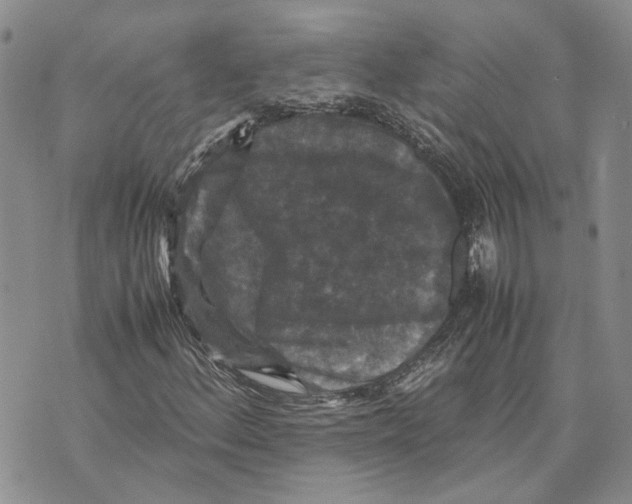 X0000070251156200606301619