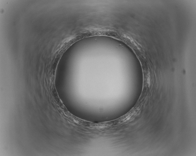 X0000070251157200606301619