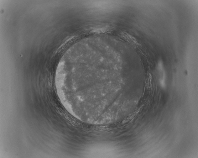 X0000070251158200606301618