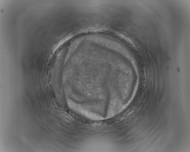 X0000070251160200606301618