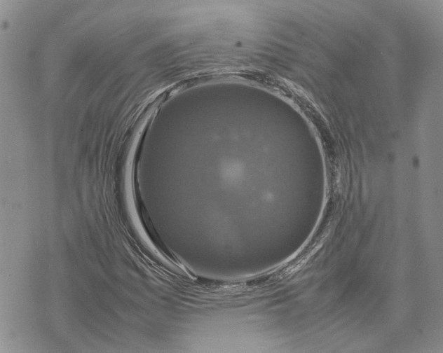 X0000070251161200606301618