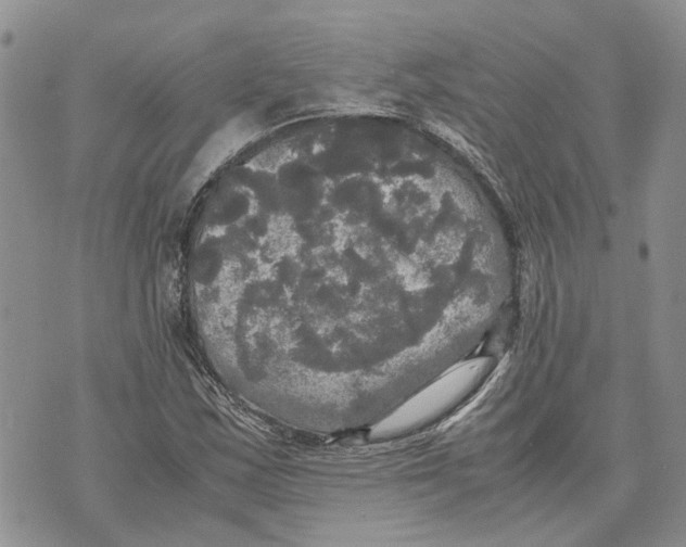 X0000070251163200606301618