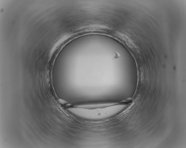 X0000070251164200606301618