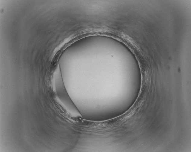 X0000070251165200606301618