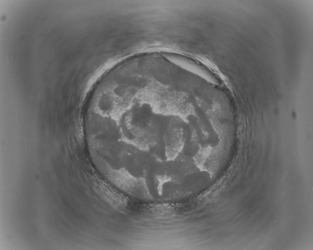 X0000070251167200606301618