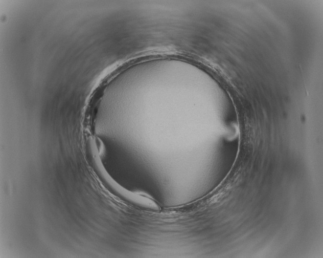 X0000070251168200606301618