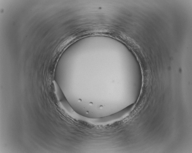 X0000070251169200606301618