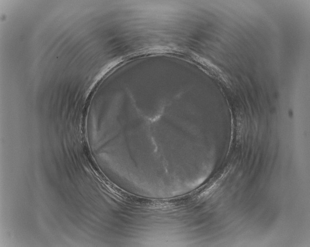 X0000070251170200606301618