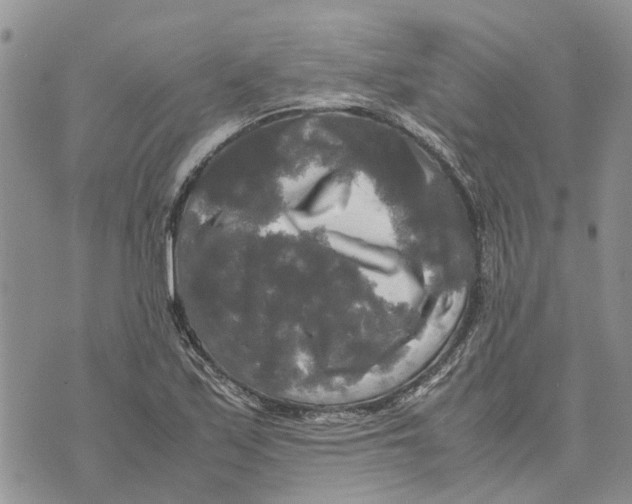 X0000070251171200606301618