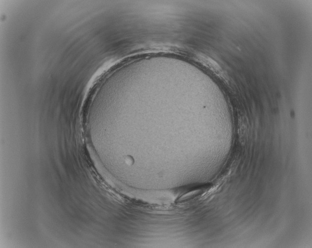 X0000070251172200606301618